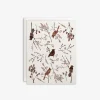 Birds + Berries Boxed Set