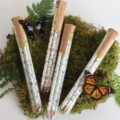 Butterfly Garden Pencil Terrarium