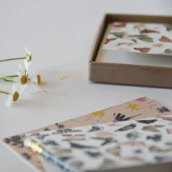 Butterfly Kisses Card : Mint