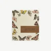 Butterfly Mini Notes