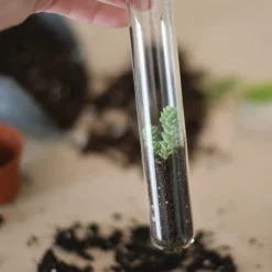 Butterfly Pencil Terrarium