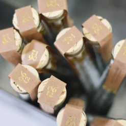 Butterfly Pencil Terrarium