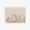 Conifers Thank You Card