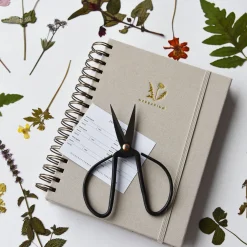 Dandelion Herbarium Journal : Mushroom Gill Cream