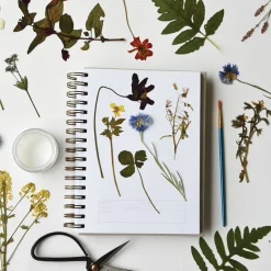 Dandelion Herbarium Journal : Mushroom Gill Cream