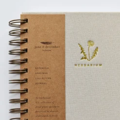 Dandelion Herbarium Journal : Mushroom Gill Cream