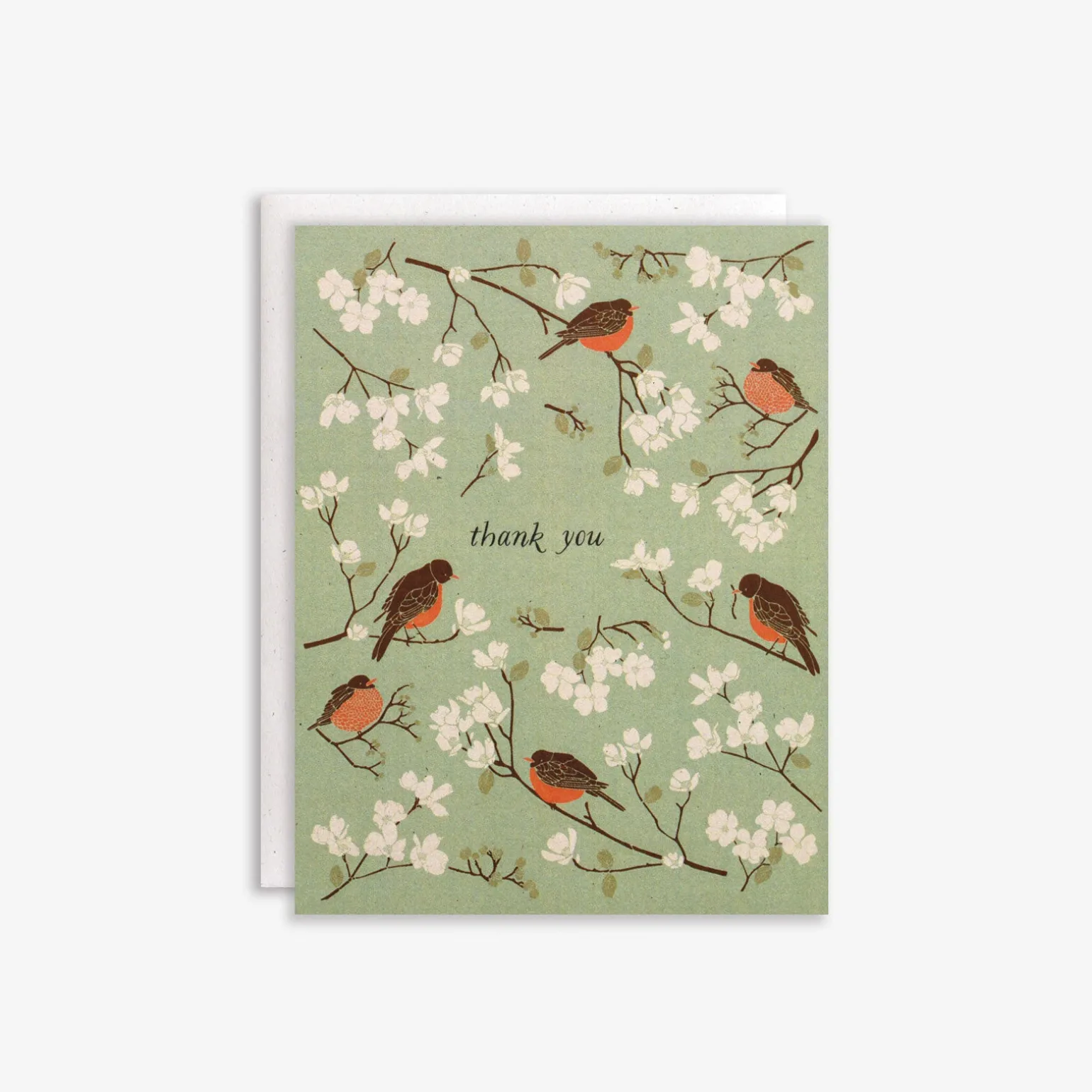 Early Bird Thank You Boxed Set