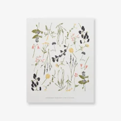 Eastern Wildflowers Art Print