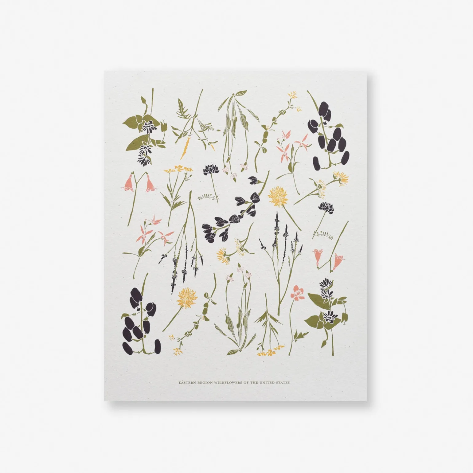 Eastern Wildflowers Art Print