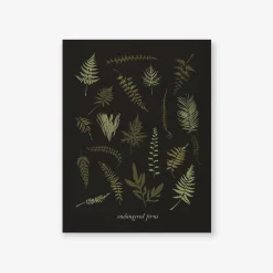 Endangered Ferns Art Print