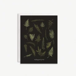 Endangered Ferns Boxed Set
