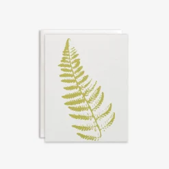Fern Card