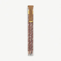 Fire Pencil Terrarium