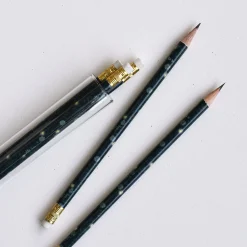 Firefly Pencil Terrarium