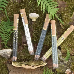 Firefly Pencil Terrarium