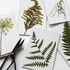 Flower Press Refill | FITS our Field Press + 8x10 Heirloom / 10pcs