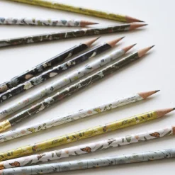 Fluttery Mix Pencil Terrarium