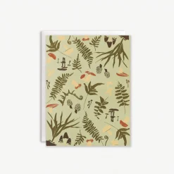 Forest Finds Boxed Set