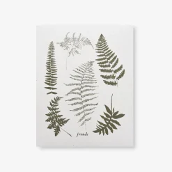 Fronds Art Print