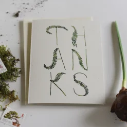 Fronds Thank You Boxed Set