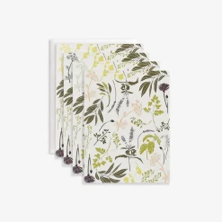 Garden Herbs Boxed Set