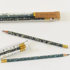 Greenhouse Mix Pencil Terrarium