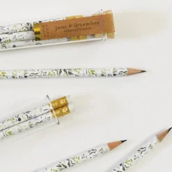 Herb Pencil Terrarium