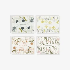 Language of Flowers (Empowerment) Boxed Set