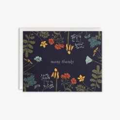 Many Thanks Boxed Set