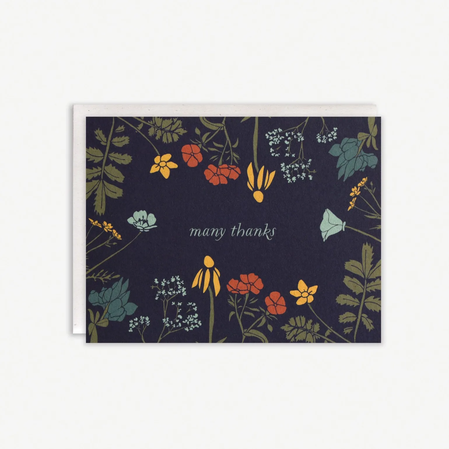 Many Thanks Boxed Set