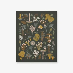 Mosses + Mushrooms Art Print