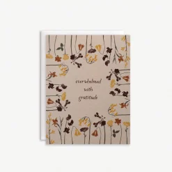 Overwhelmed with Gratitude Boxed Set