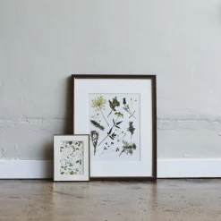 Pressed Herb Sprigs Art Print