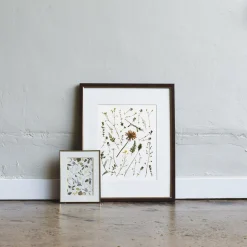 Pressed Italian Wild Sprigs Art Print