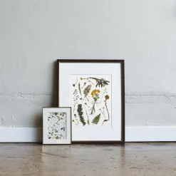 Pressed Olive Grove Pretties Art Print