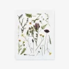 Pressed Tuscan Wildflowers Art Print