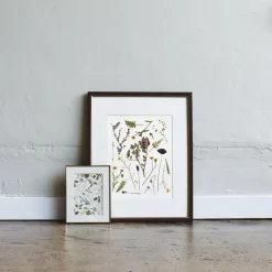 Pressed Tuscan Wildflowers Art Print