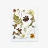 Pressed Wildflowers Art Print