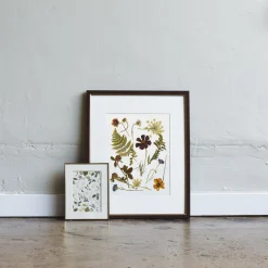 Pressed Wildflowers Art Print