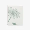 Queen Anne's Lace Card