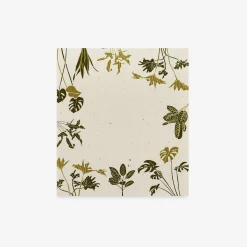 Rainforest Plants Mini Notes