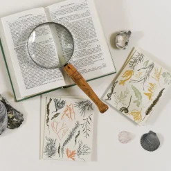 Seaweeds of the Atlantic + Pacific Box Set