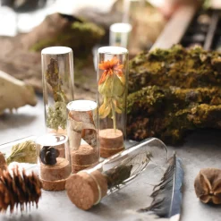 Specimen Bottles with Cork