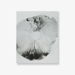 Spore Print Specimen No. 15