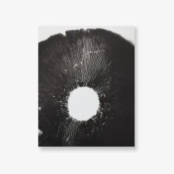 Spore Print Specimen No. 12