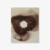 Spore Print Specimen No. 17