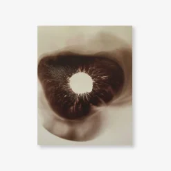 Spore Print Specimen No. 17