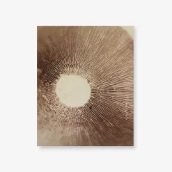 Spore Print Specimen No. 19