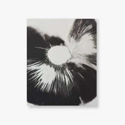 Spore Print Specimen No. 27