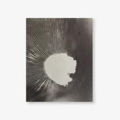 Spore Print Specimen No. 6
